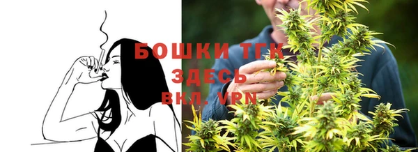 прущий лед Верея